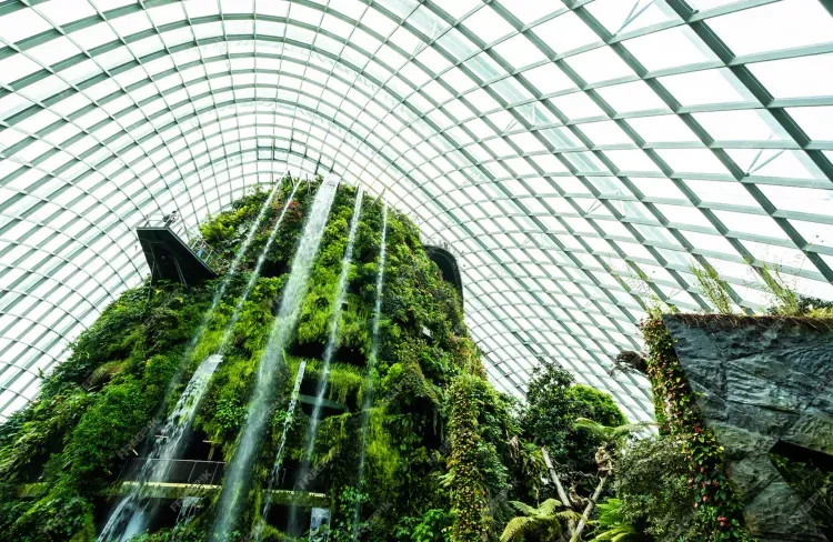 Artificial Plant for Museum, parks and zoos-01-mini.webp